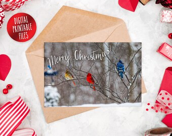 Merry Christmas, Holidays greeting card with northern cardinals and blue jay birds, Instant Download, Printable Digital, Xmas digital card