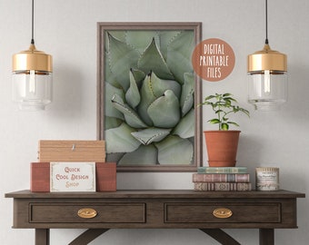 Succulent Agave Cactus photo poster | Digital Printable poster | Instant download files | Colour photo art | Wall decor photo print gift