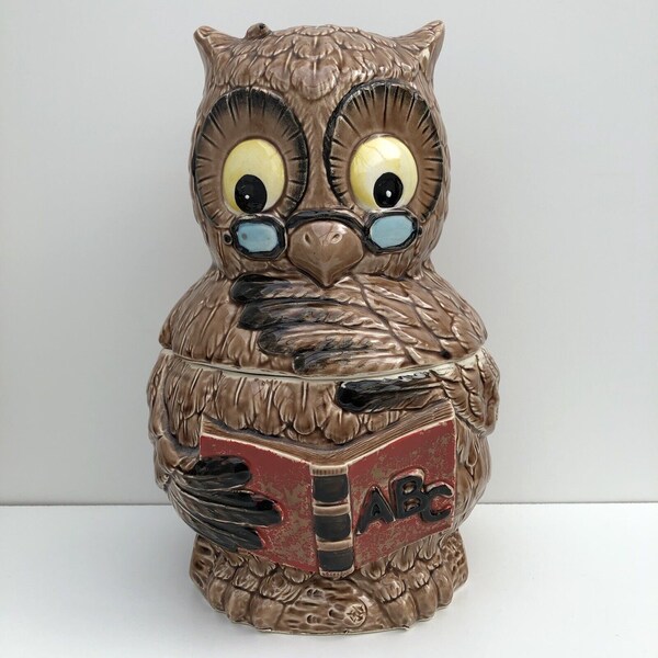 Owl Cookie Jar Etsy UK