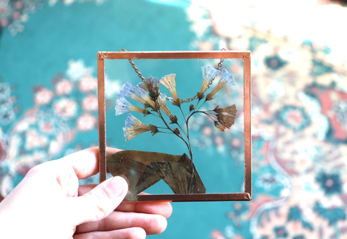 Pressed Flower Frame Wall Hanging Virgina Bluebells Etsy