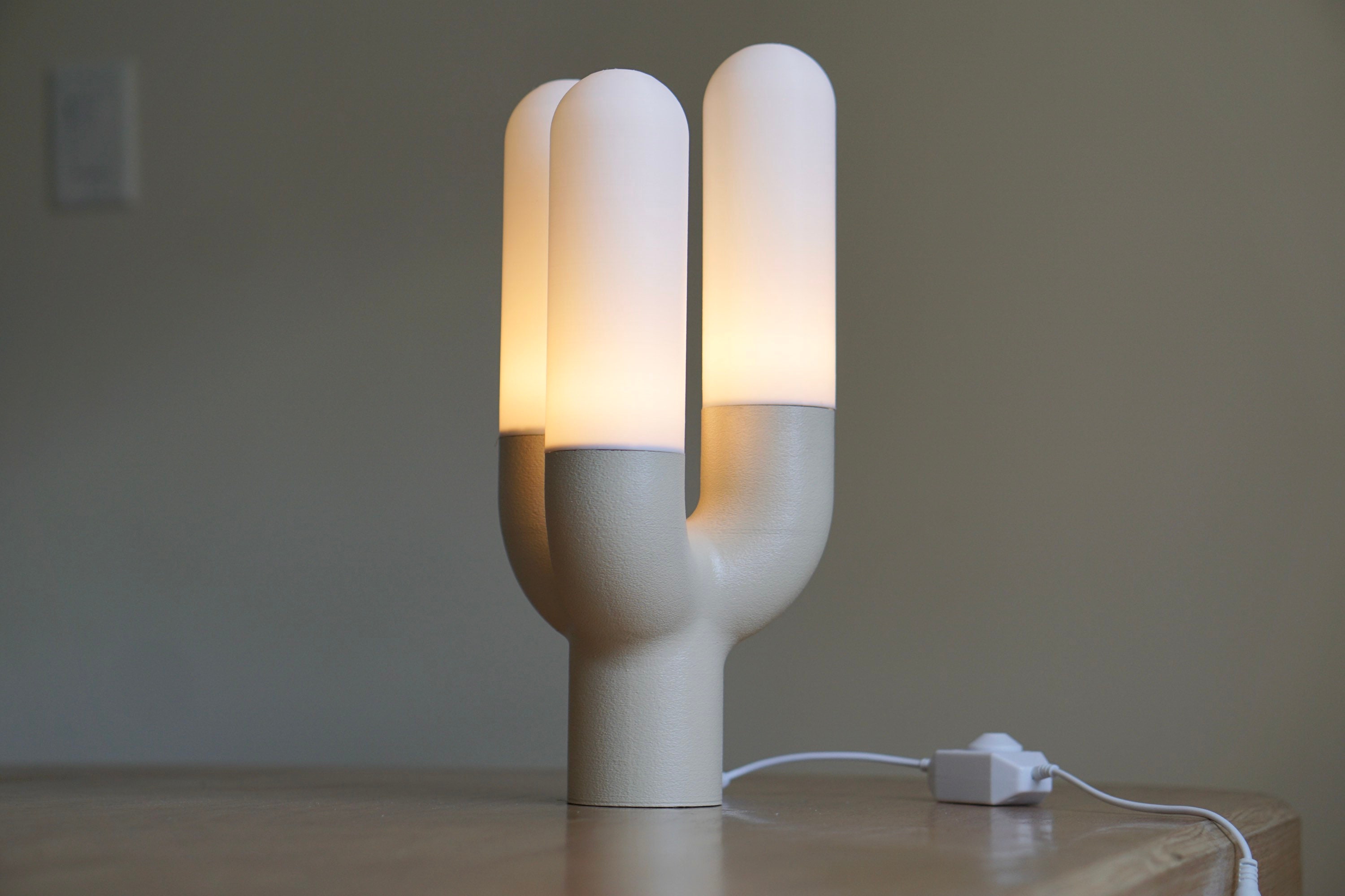 KACTI Modern Accent Lamp Plant Lamp Eco Lamp Minimal Etsy