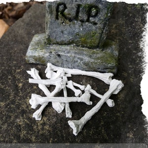 Bleached Miniature Bones 1:12 scale -Set of 10 + 'bone fragments' -BONES ONLY -Handmade Mini Human Bones -gnome fairy garden accessory