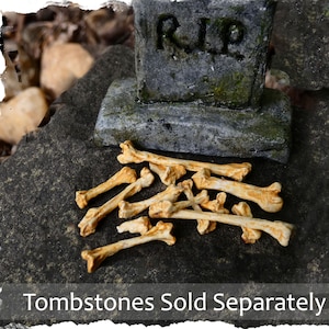 Peut inclure: Une collection de petites répliques d'os texturées de couleur beige clair, éparpillées sur une surface sombre et rugueuse devant une pierre tombale grise portant les lettres R.I.P. gravées. Le texte Tombstones Sold Separately est visible.
