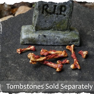 Meaty Miniature Bones 1:12 scale -Set of 5 + &#39;bone fragments&#39; -BONES ONLY -Mini Human Bones -Handmade -gnome garden fairy garden accessory