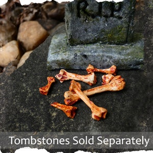 Bloody Miniature Bones 1:12 scale -Set of 5 + &#39;bone fragments&#39; -BONES ONLY -Handmade Mini Human Bones -gnome garden fairy garden accessory