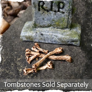 Ancient Miniature Bones 1:12 scale -Set of 5 + &#39;bone fragments&#39; -BONES ONLY -Mini Human Bones -Handmade -gnome garden fairy garden accessory