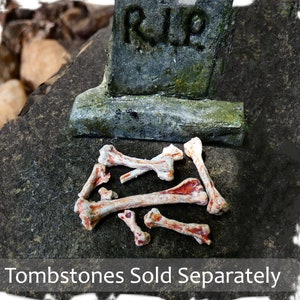 Early Decay Miniature Bones 1:12 scale -Set of 5 + &#39;bone fragments&#39; -BONES ONLY -Mini Human Bones -Handmade -gnome fairy garden accessory