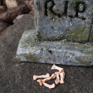 May include: A small, grey tombstone with the inscription "RIP" sits on a grey, textured surface.  A pile of small, light brown bones are scattered in front of the tombstone.