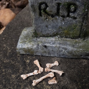 May include: A weathered grey tombstone with the inscription "RIP" sits on a dark grey surface. Scattered around the base of the tombstone are six small, light brown bones.