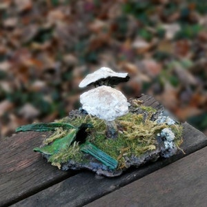 Mushroom Patch - Each Handcrafted Sculpture is a Delightful, Unique, One-of-a-Kind Gift for Nature Lovers or Yourself!