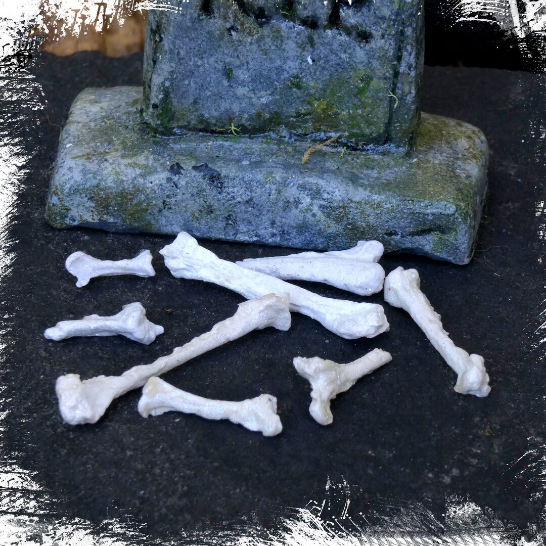 Fairy Miniature Bones 1:12 Scale -set of 5 + 'bone Fragments' -BONES ...