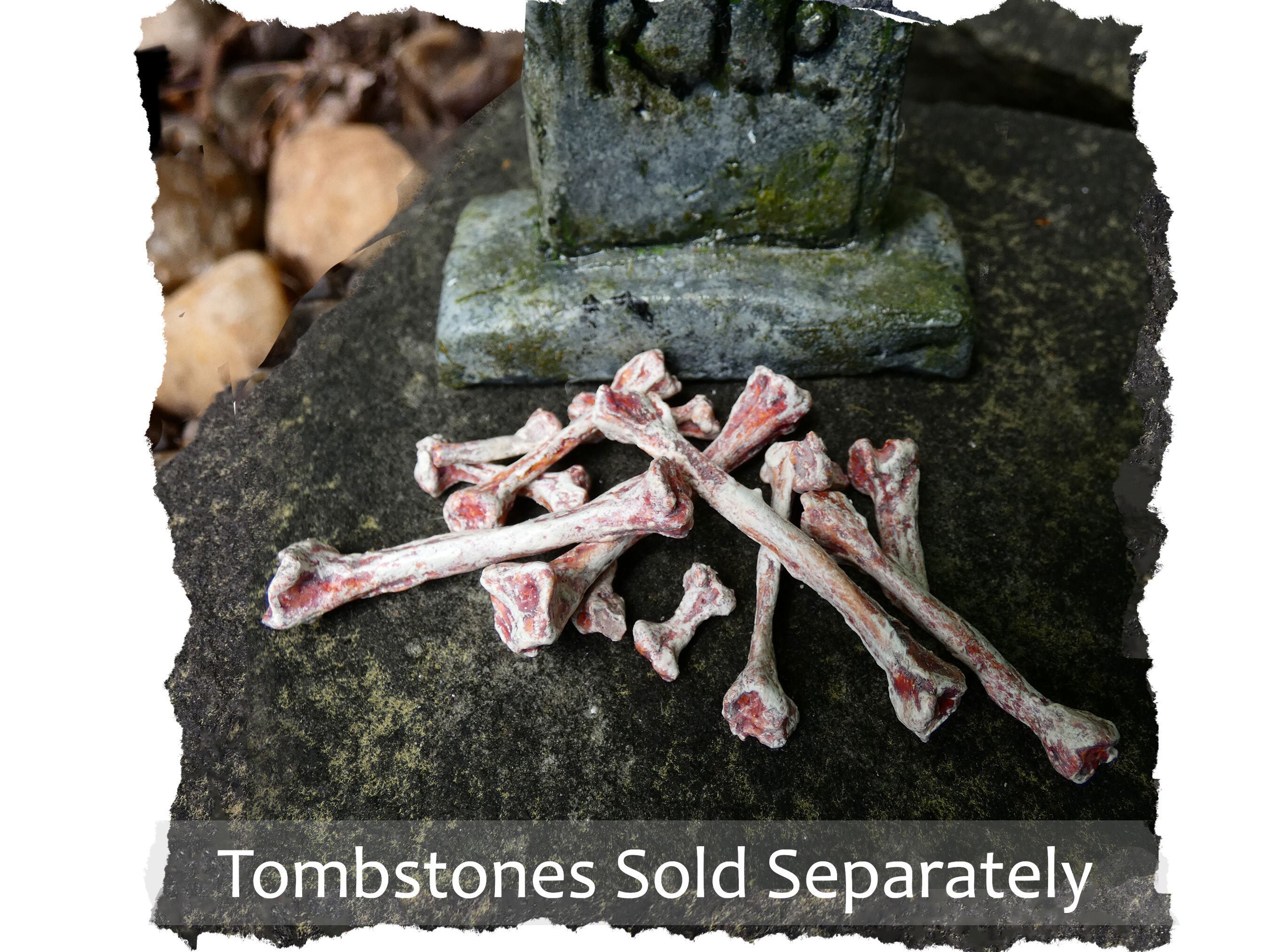 1:12 scale BONES ONLY Set of5 Early Decay Handmade Miniature Human Bones Bundle 1