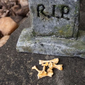 May include: A small, grey tombstone with the inscription "R.I.P." sits on a grey, textured surface.  A pile of small, light brown bones are scattered in front of the tombstone.