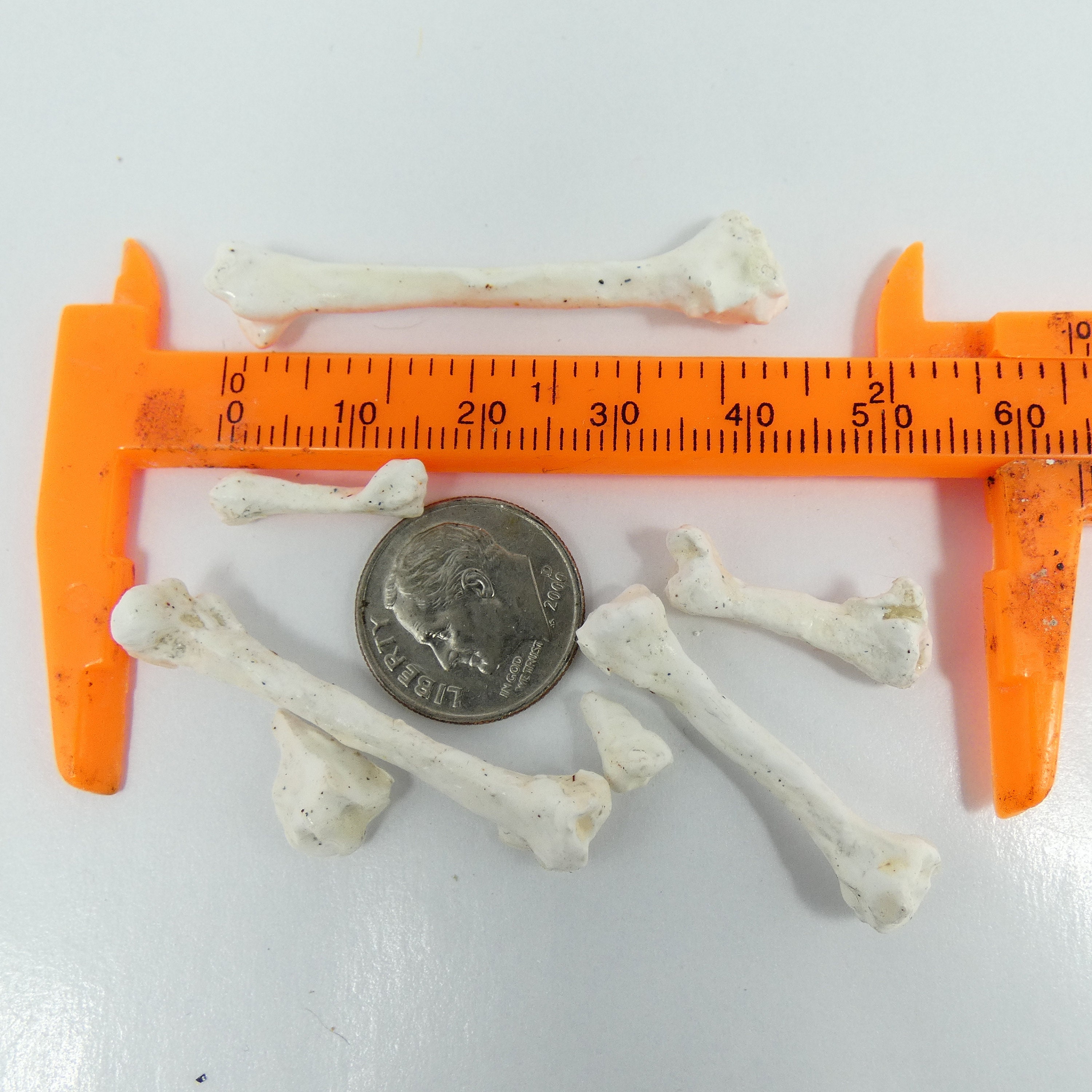 Bleached Bones Osrs - mmrms1b