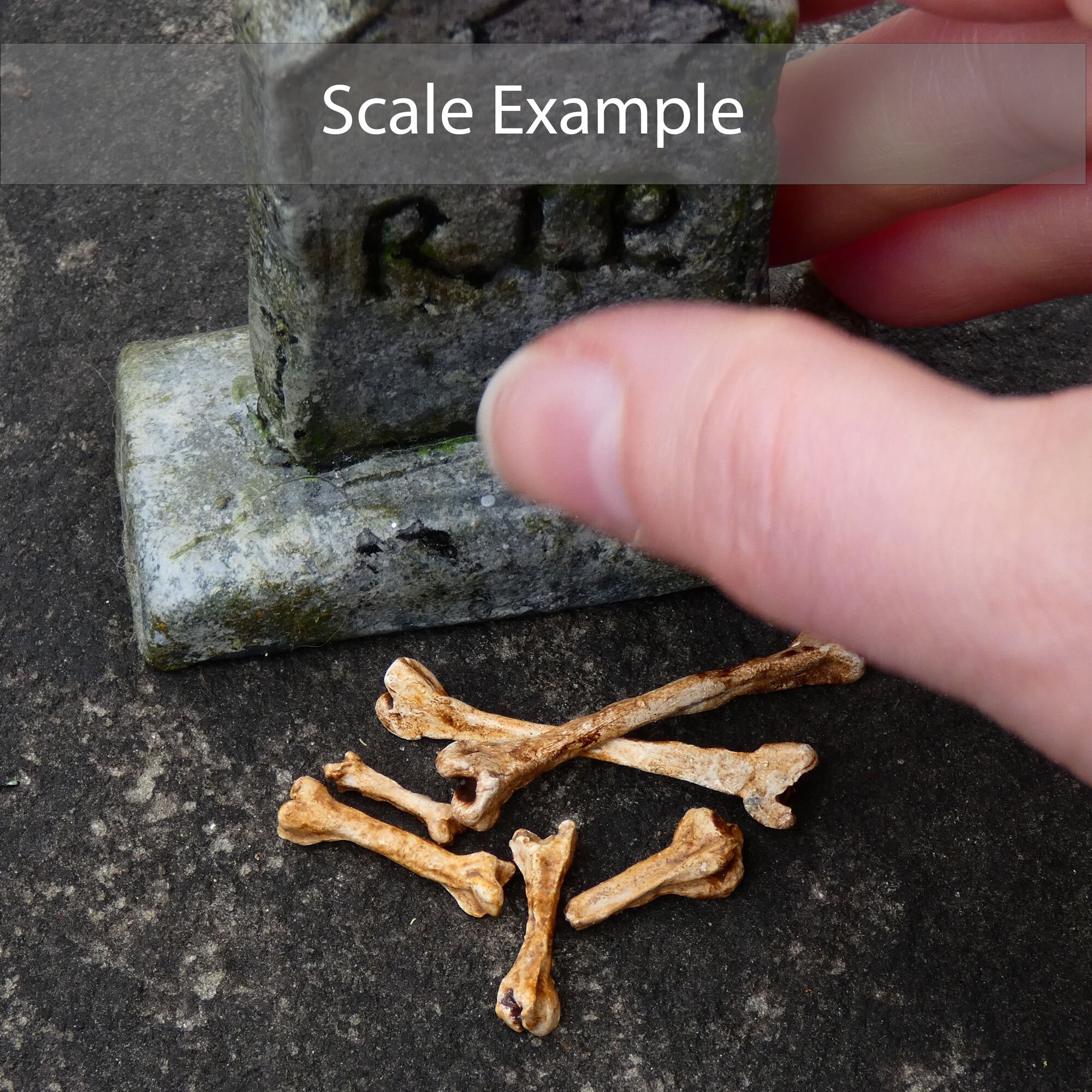 Early Decay Miniature Bones 1:12 Scale -set of 5 + 'bone Fragments ...