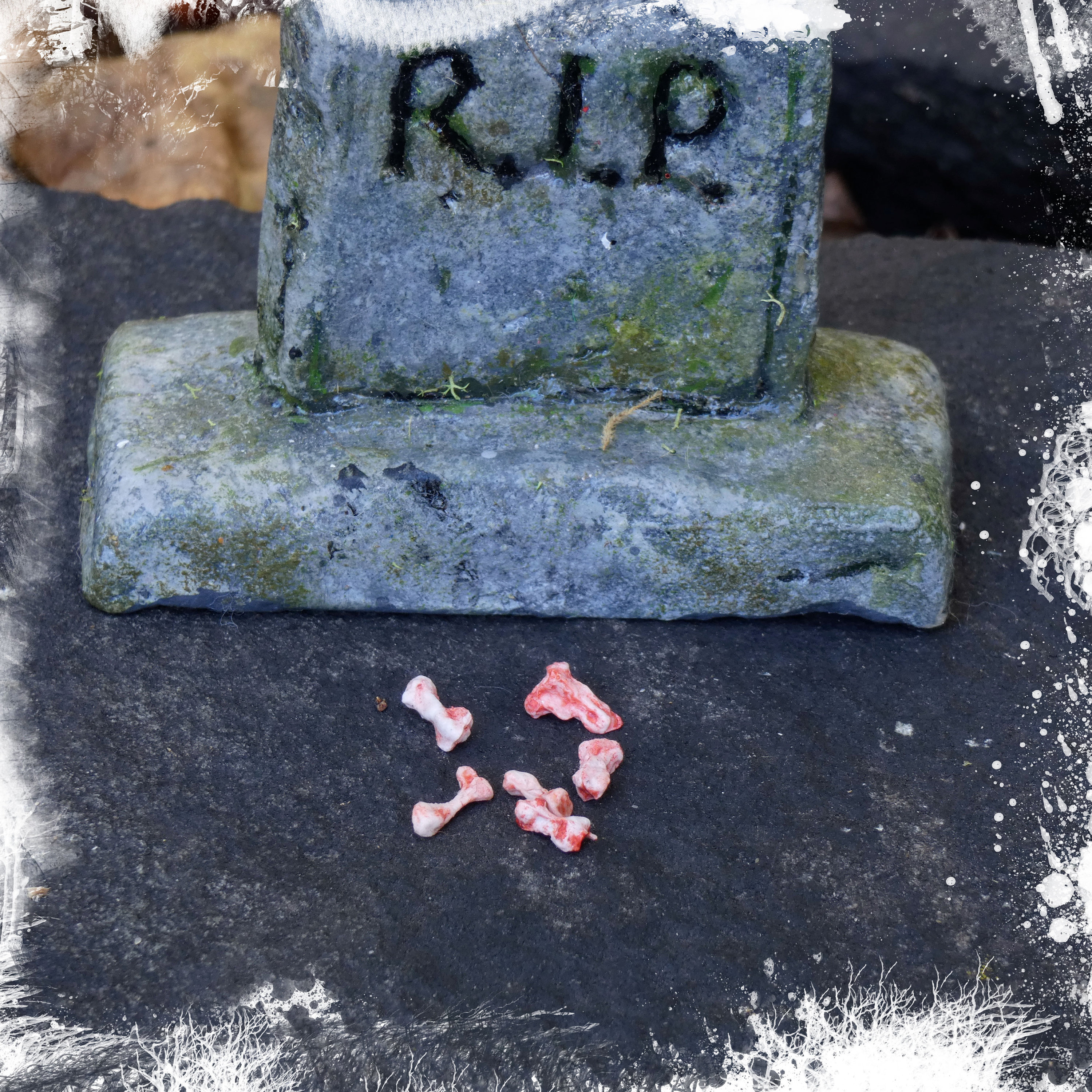 Early Decay Miniature Bones 1:48 Scale -set of 5 + 'bone Fragments ...