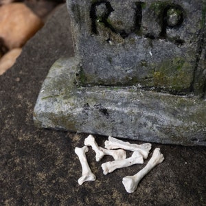May include: A weathered grey tombstone with the letters "R.I.P." carved into it. Several small, white bone replicas are scattered in front of the tombstone, creating a spooky Halloween scene.