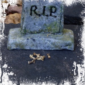 May include: A weathered grey tombstone with the inscription "RIP" on it. The tombstone is sitting on a grey, textured surface with a few small, light brown bones scattered around it.
