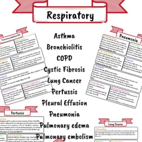 Respiratory Bundle for Nursing Students Etsy