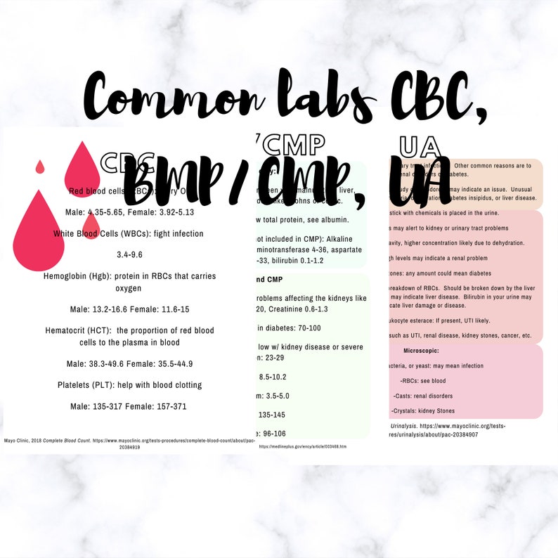 Common Labs for Nursing Students Cbc Bmp Cmp Ua Etsy