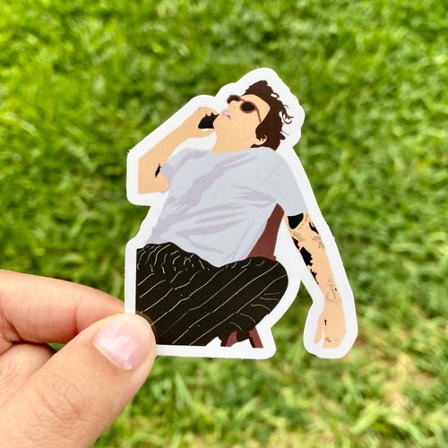 Harry Styles Laptop Stickers Etsy