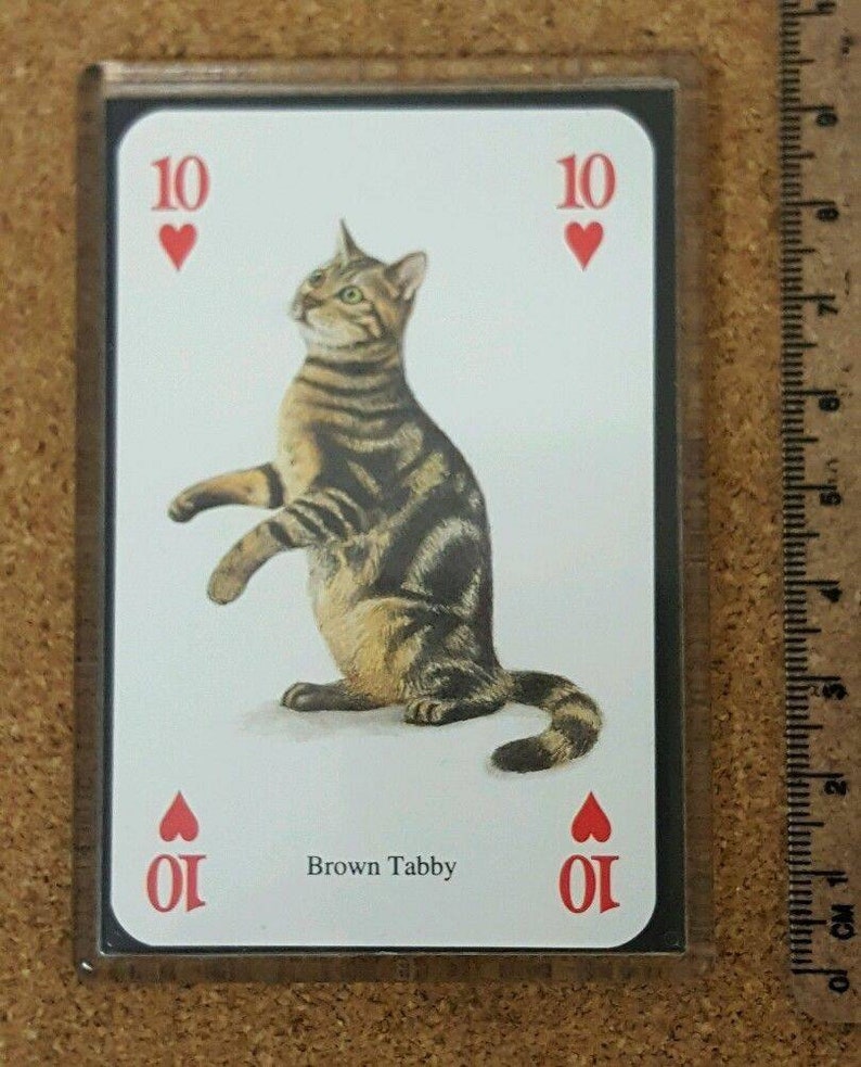 Fridge Magnet Playing Card Cat Breeds Of The World Cats Brown Tabby