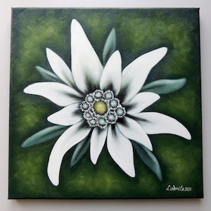 Edelweiss, Peinture à l'huile sur toile , Fleurs peintures, Œuvre dart floral pour votre maison . image 1