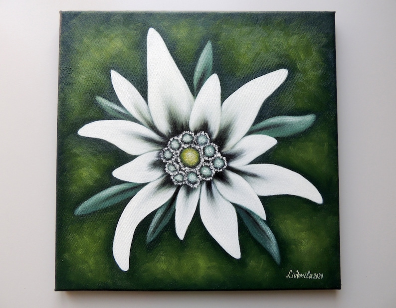 Edelweiss, Peinture à l'huile sur toile , Fleurs peintures, Œuvre dart floral pour votre maison . image 1