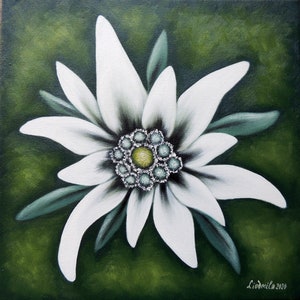 Edelweiss, Peinture à l'huile sur toile , Fleurs peintures, Œuvre dart floral pour votre maison . image 2