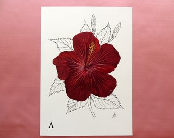 Herbier de fleurs de gibiscus séchée 12" x 8,4", Décor mural, Cadeau pour la maison, Cadeau fête des mamans. # H50