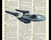 Starship Enterprise Star Trek Dictionary Art Print Spock Kirk Poster Star Ship