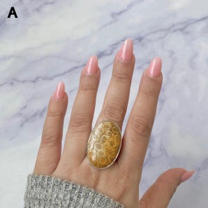 May include: An oval-shaped ring featuring a polished fossilized coral stone with a tan and beige honeycomb pattern. The stone is set in a smooth, simple metal band that encircles the perimeter of the oval, creating a clean and defined edge.