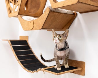 Estantes de pared modernos para gatos, juego de muebles de pared para gatos, parque de juegos interior para gatos, estante de escalada para gatos, cama y almohada de madera para gatos, escalones de pared para gatos