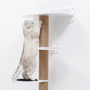 Klöstorn för katter, Klösväggssystem för katt, Klätterträd för inomhuskatt, Flytande katthylla, Present till kattägare, Lekplatsset för katter, Klösträd för katt