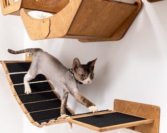 Puente de pared de madera para gatos con fieltro, estantes modernos para gatos, pared de escalada para gatos, escalones y cama para gatos, muebles de juego para gatitos, muebles de pared para gatos