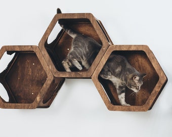 cat dining shelf