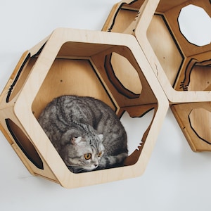 Wooden Cat Hexagon Shelves, Luxury Cat Furniture, Cat Wall Perch, Pet Gifts, Furniture for Cats, Cat Shelf for Wall Cat Playground Catsmode