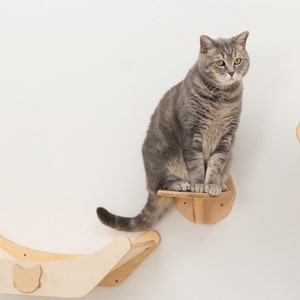 Cat Shelves Wall Steps Cat Furniture Modern, Cat Shelf, Cat Ladder, Wood Cat Steps, Cat Shelves Set, Cat Walk Stairs, Kitten, Pet Owner Gift