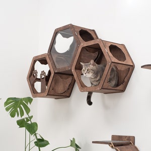 Cat Hexagons Shelves, Wood Wall Furniture Set, Cat Shelf, Play House for Cat, Kitten Climbing Wall Bed, Cat Owner Gift, Home Decor CatsMode