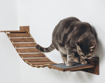 indoor cat playground