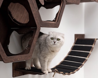 Cat Wall Furniture Set, Cat Wall House, Cat Hexagon Shelves, Black Cat Wall Furniture, Cat Wall Shelves, Cat Steps for Wall, Cat Wall Bed