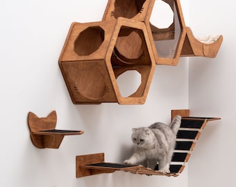 Muebles de montaje en pared para gatos, Cama de pared para gatos, Estantes hexagonales para gatos de madera, Regalo para amantes de los gatos, Dueño de gatos, Hexágono de gato acrílico, Puente para gatos, Conjunto para gatos