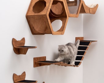Modern Cat Wall Shelves Furniture, Cat Wall Bed, Wooden Cat Wall Furniture Set, Cat Wall Hexagon Shelves Set, Cat Bridge, Cat Play Furniture
