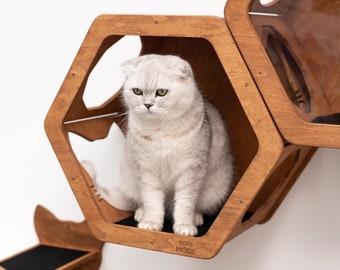 Cat Furniture, Cat Shelf, Cat Bed, Cat Tower, Cat Bridge, Cat Wall Furniture, Cat Shelves, Cat House, Cat Gift, Cat Wall Bed, Cat Hexagon