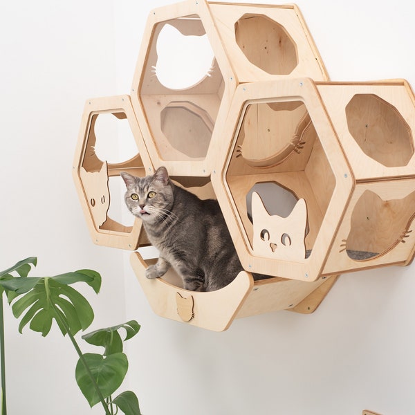 Hexágono de pared para gatos, estantes para gatos, muebles de pared para gatos, estantes de madera, regalo para amantes de los gatos, casa para gatos, muebles para gatos, cama de pared para gatos, nuevos estantes para gatitos