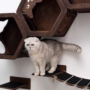 Wall Mount Shelf with Cat Steps, Cat Hexagon Shelves, Wood Wall Furniture for Cats, Cat Climbing Wall Bed, Kitten Owner Gift, Home Gifts