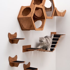 Modern Cat Wall Shelves Furniture, Cat Wall Bed, Wooden Cat Wall Furniture Set, Cat Wall Hexagon Shelves Set, Cat Bridge, Cat Play Furniture