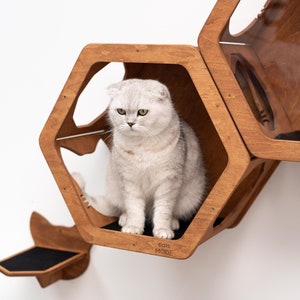 Cat Wall Furniture, Cat Wall Shelves, Cat Furniture, Cat Wall Sets, Wall Shelves for Cat, Design Hexagon for Cat, Big Cat Furniture zdjęcie 6