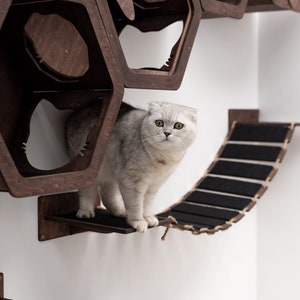 White cat shelves for wall, cat bridge, wood cat toys, cat wall furniture, white cat bridge for wall, white cat steps, cat furniture