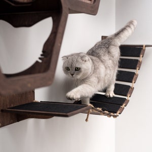 Decorative cat shelves 2025